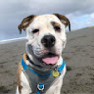 Meet your Posher, Cassandra